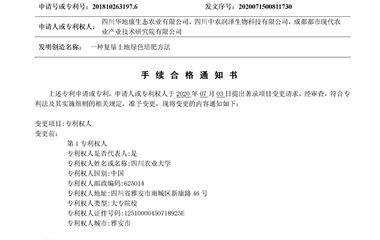 纸件JDPCN1203890手续合格通知书