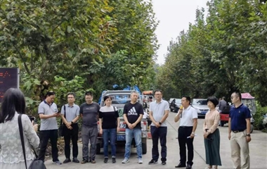 温江大蒜提质增效关键技术研究集成与示范