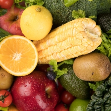 果菜茶药等有机肥替代
化肥集成应用技术