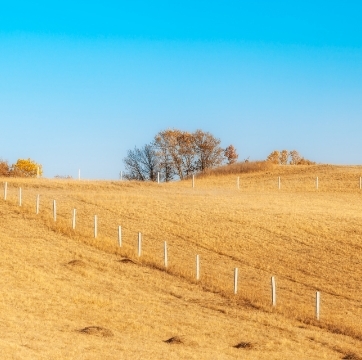 草原及荒漠化治理技术