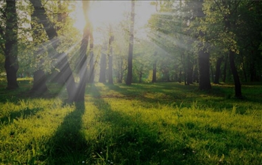 成都市锦城公园现代高效生态农业新技术集成创新研究及应用示范项目