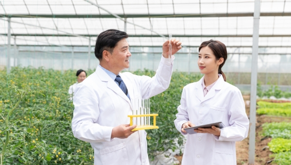 聚集高端人才,提供领先性的科技服务